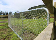 Puerta galvanizada caliente de la cerca de la longitud de cadena de 75X75M M para la yarda de las ovejas
