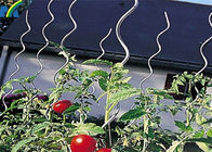Alambre de la ayuda del tomate de las colocaciones de la cerca de la alambrada de los 6.5MM*1.8M