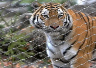 el parque zoológico de acero inoxidable Mesh Enclosure Netting X de 7x19 Tiger Metal 1.2m m tiende formado