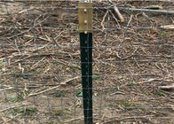 Colocaciones de poca potencia de la cerca de la alambrada del poste el 1/2 pie de la cerca