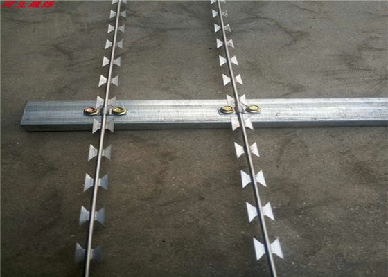 Alambre de la maquinilla de afeitar de la seguridad BTO-22