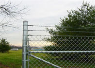4 pies X granja de la tela del verde de la frontera de la barrera de Mesh Fence Steel Backyard Home de la alambrada de 50 pies