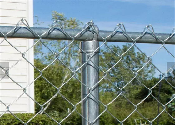 alambrada resistente de la cerca los 5ft de la alambrada de 50*50m m que cerca resistiendo a resistencia